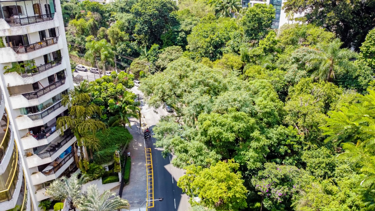 Apartamento, 3 quartos, 300 m² - Foto 26