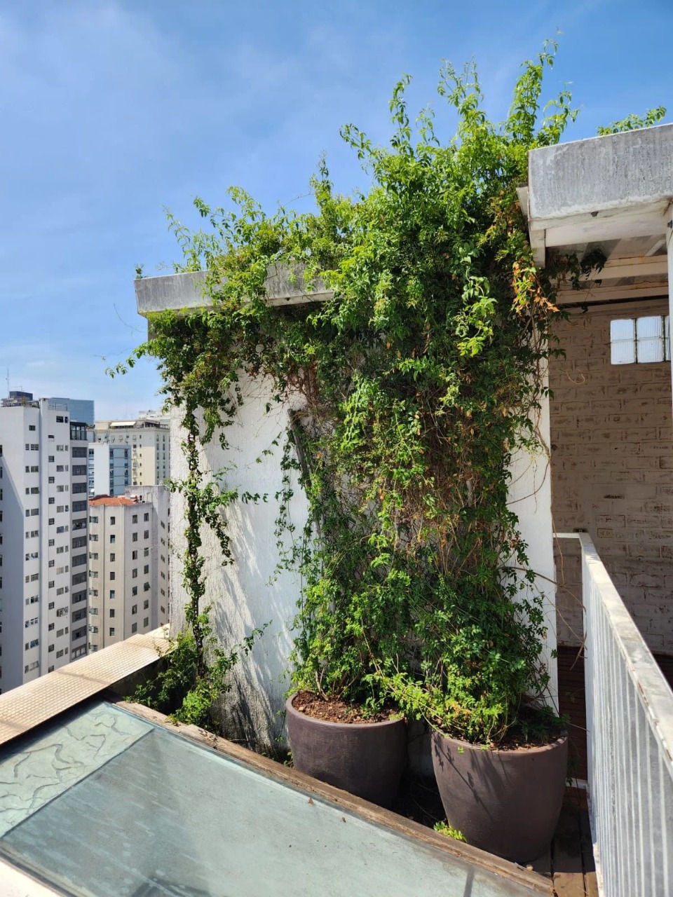 Cobertura, 4 quartos, 330 m² - Foto 17