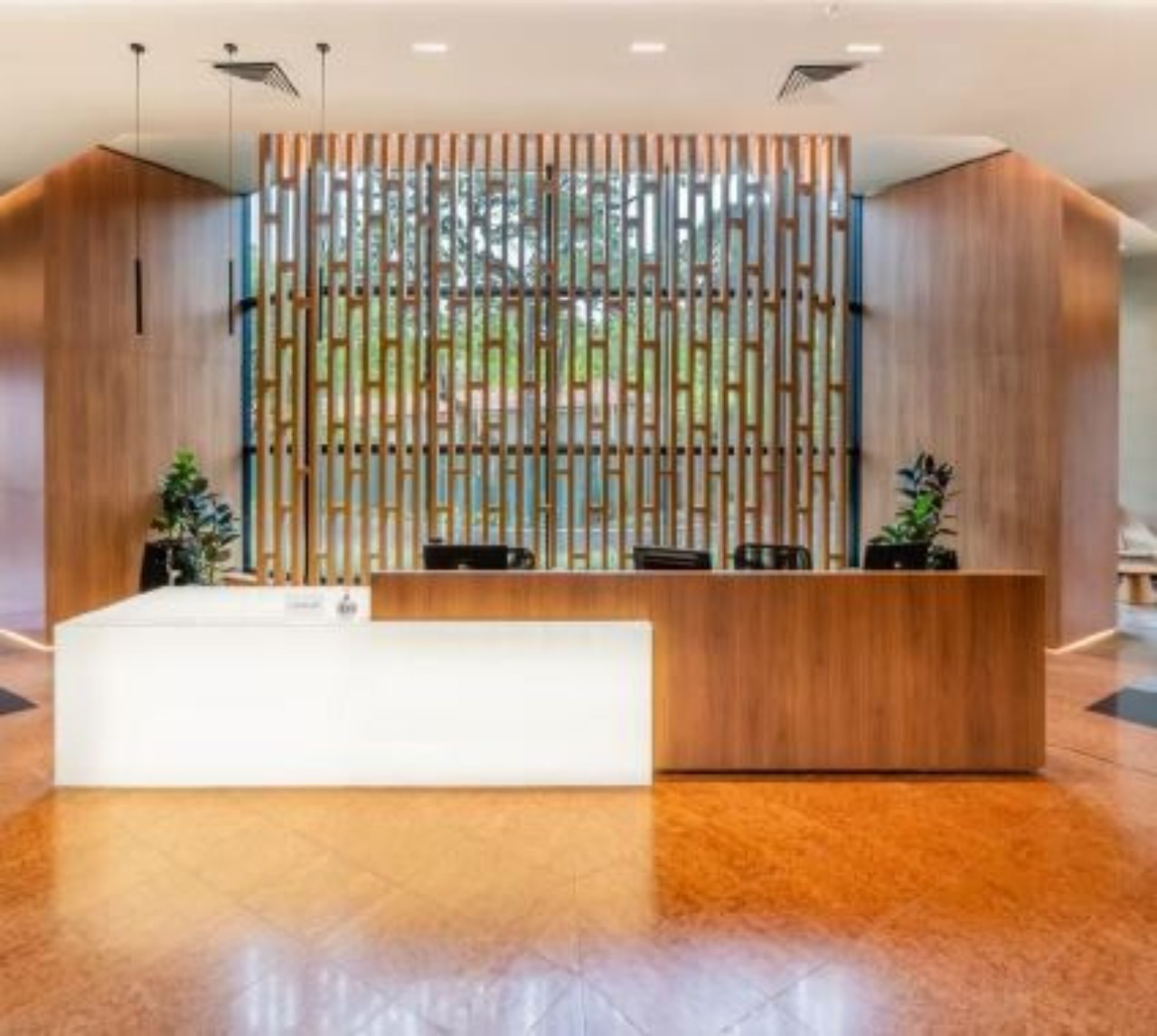 Sala-Conjunto, 386 m² - Foto 3