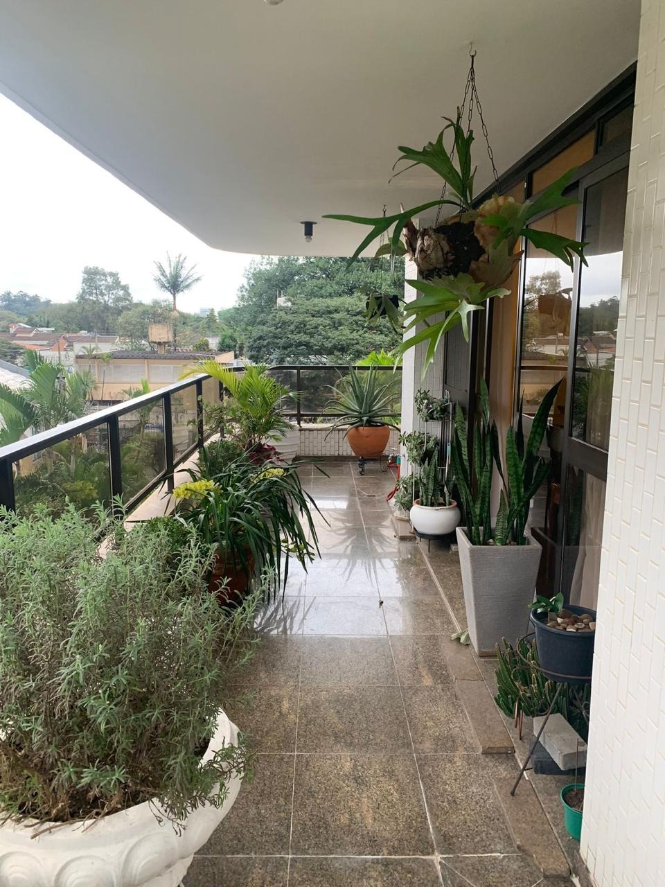 Apartamento, 4 quartos, 300 m² - Foto 1