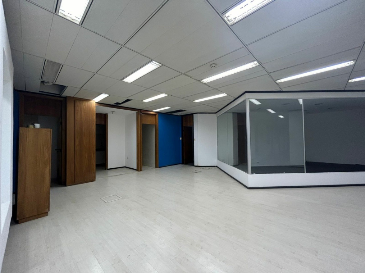 Sala-Conjunto, 530 m² - Foto 5