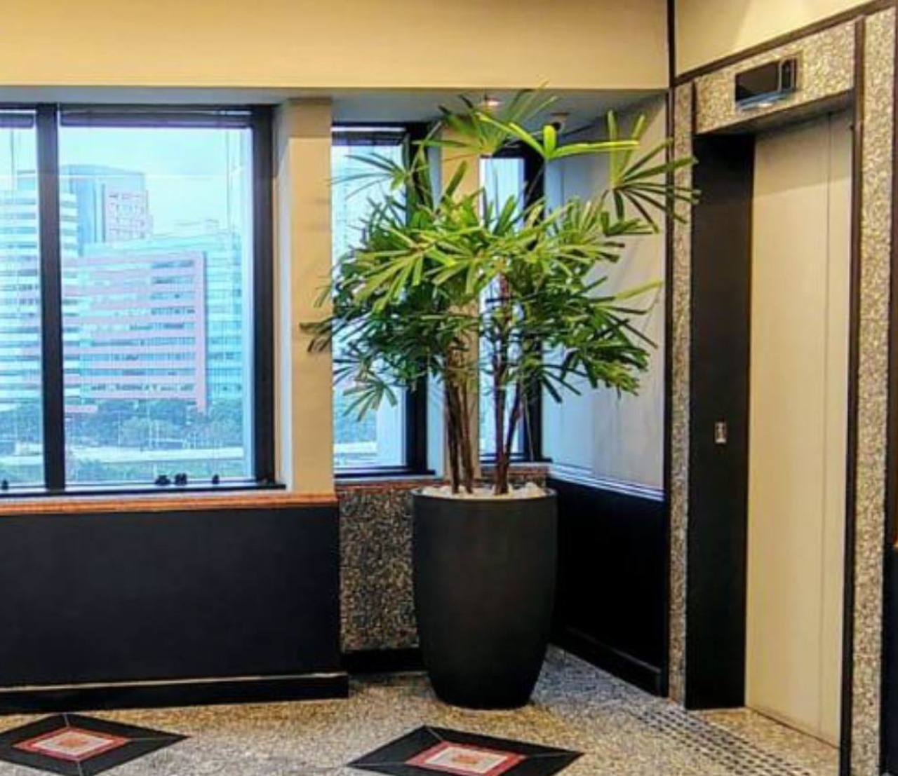 Sala-Conjunto, 386 m² - Foto 4