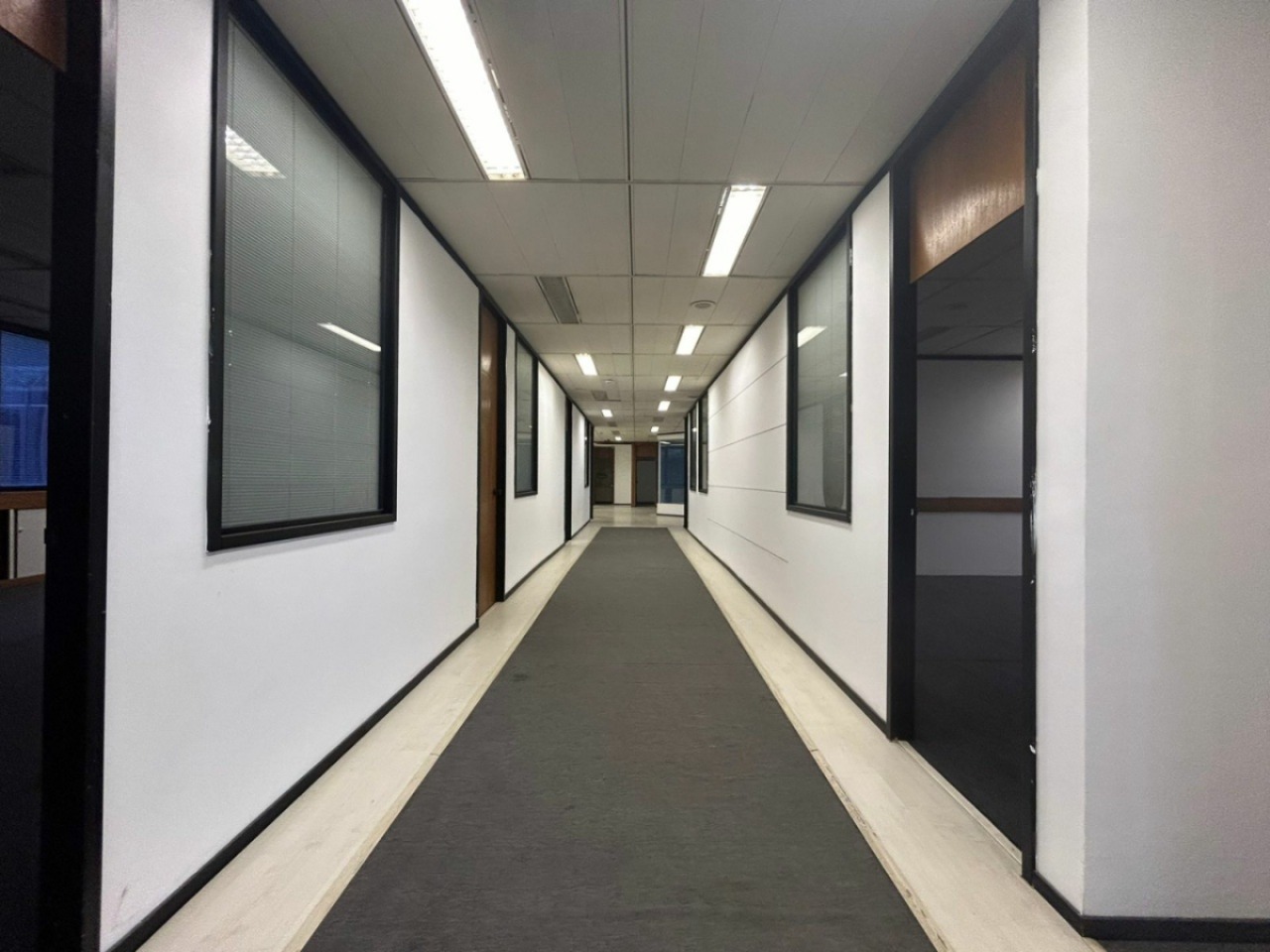 Sala-Conjunto, 530 m² - Foto 6
