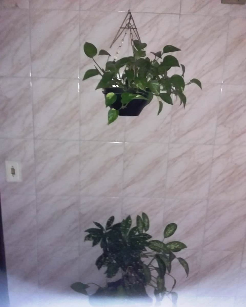 Apartamento, 2 quartos, 45 m² - Foto 3