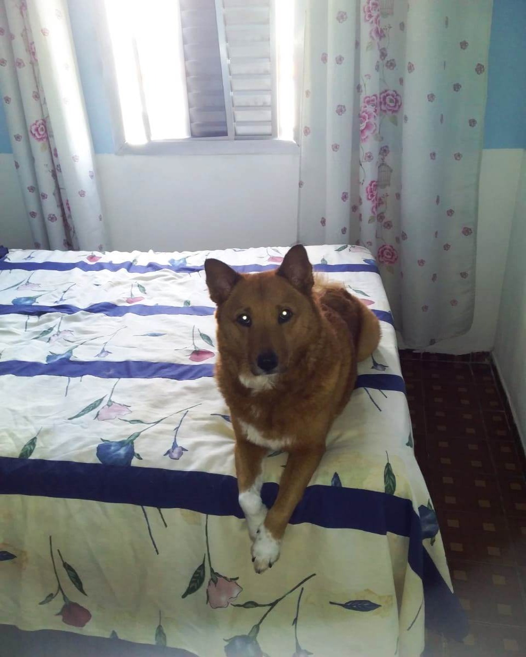 Apartamento, 2 quartos, 45 m² - Foto 11