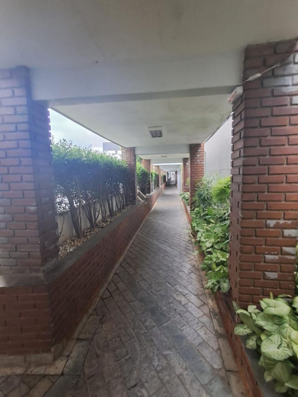 Apartamento, 3 quartos, 62 m² - Foto 2