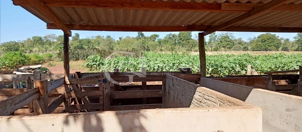 Chácara, 5 quartos - Foto 19