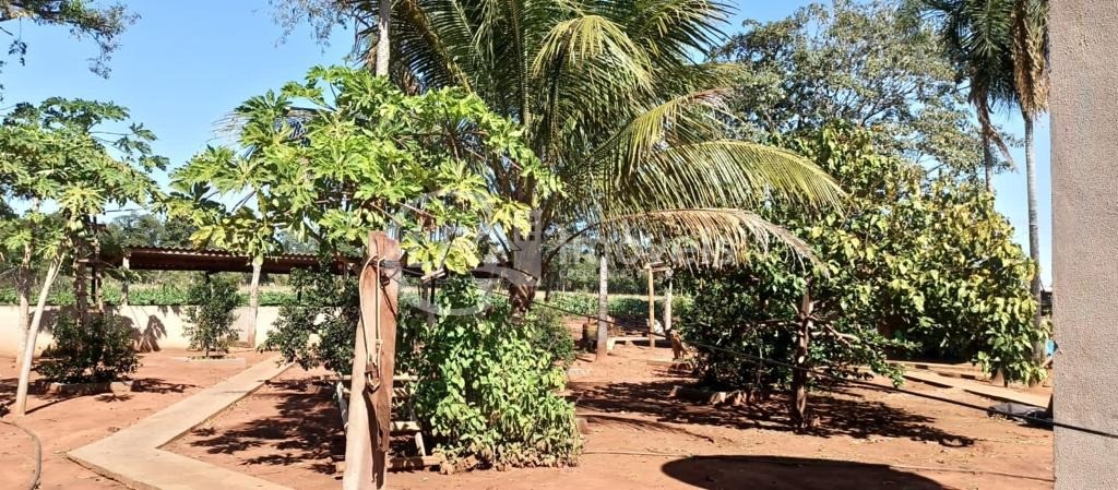 Chácara, 5 quartos - Foto 7