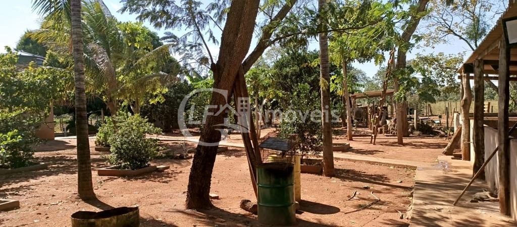 Chácara, 5 quartos - Foto 12