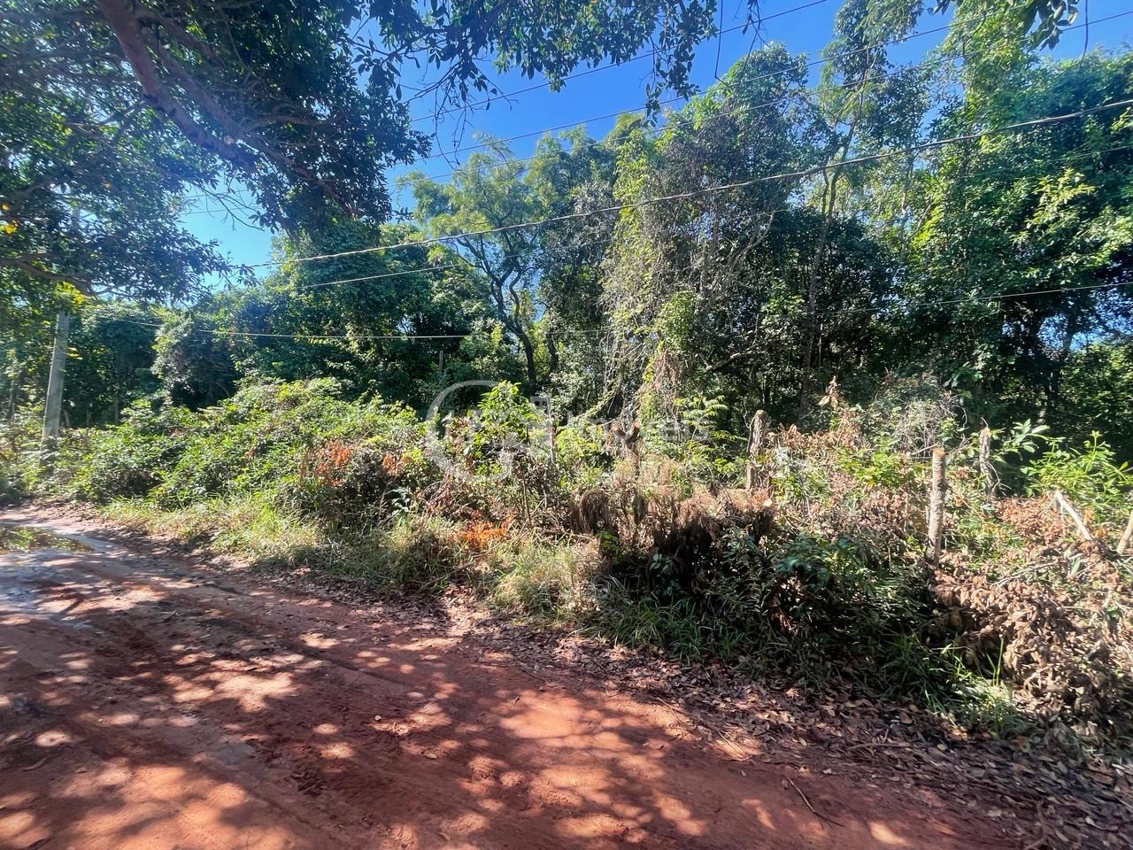 Chácara, 10000 m² - Foto 7