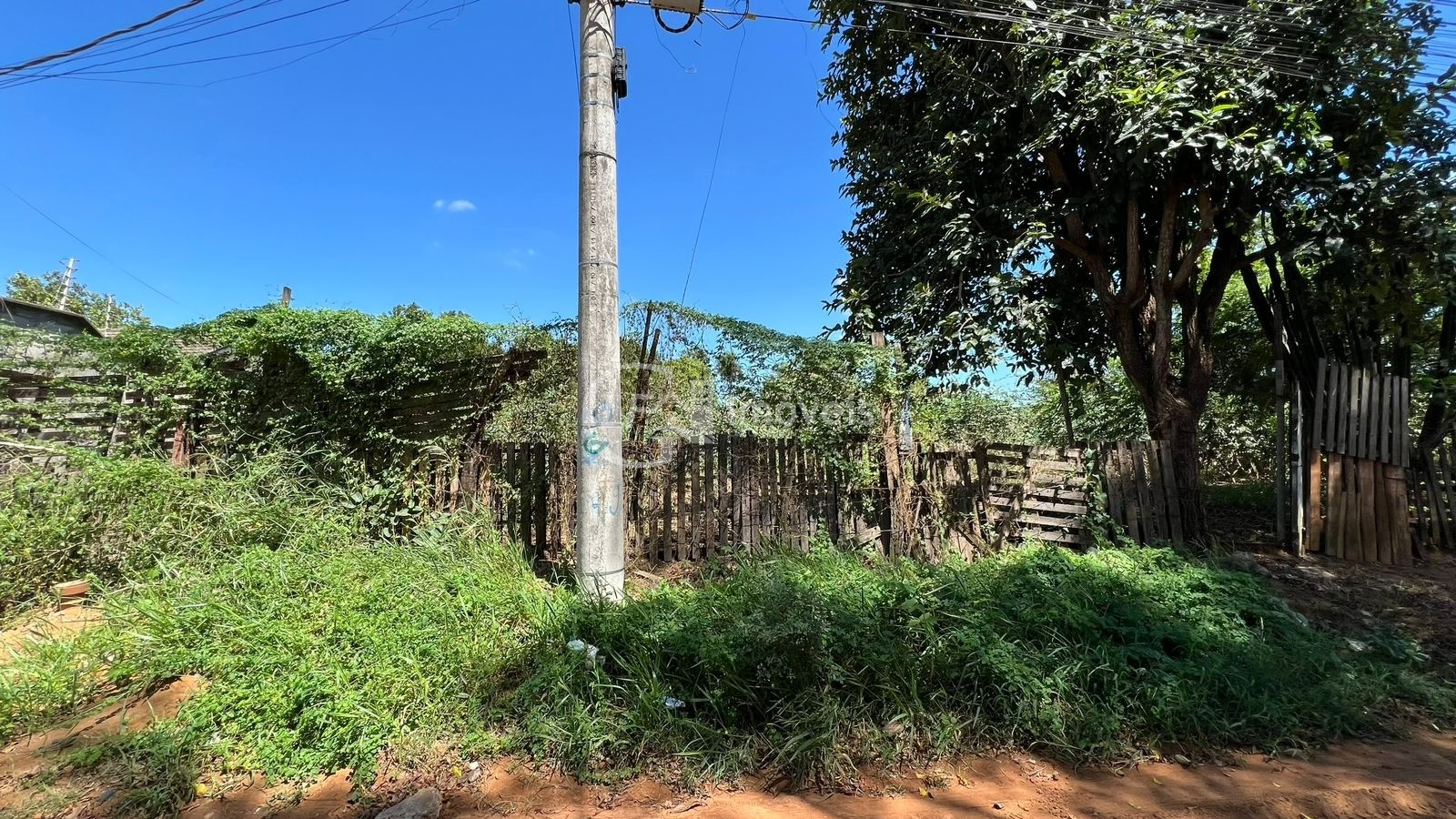Terreno à venda em campo grande-ms, jardim sumatra, 420m² de