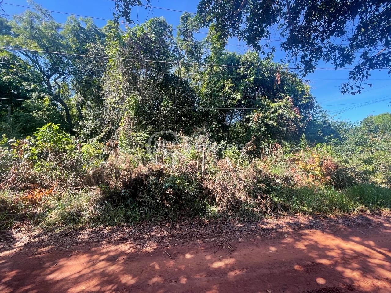 Chácara, 10000 m² - Foto 6
