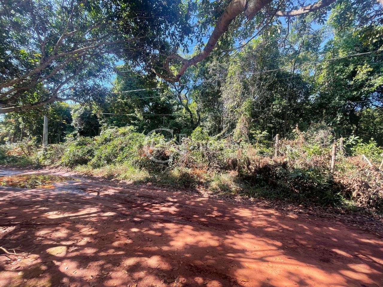 Chácara, 10000 m² - Foto 4