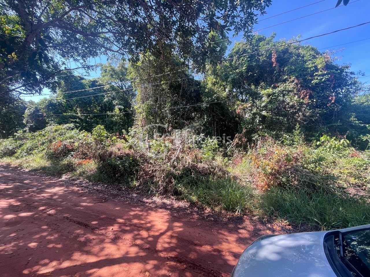 Chácara, 10000 m² - Foto 8