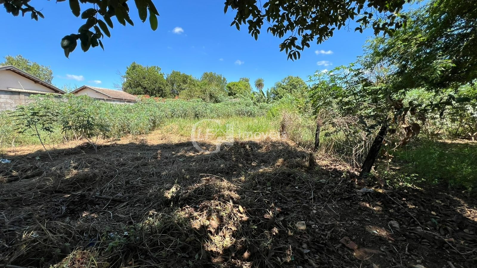 Terreno à venda em campo grande-ms, jardim sumatra, 420m² de