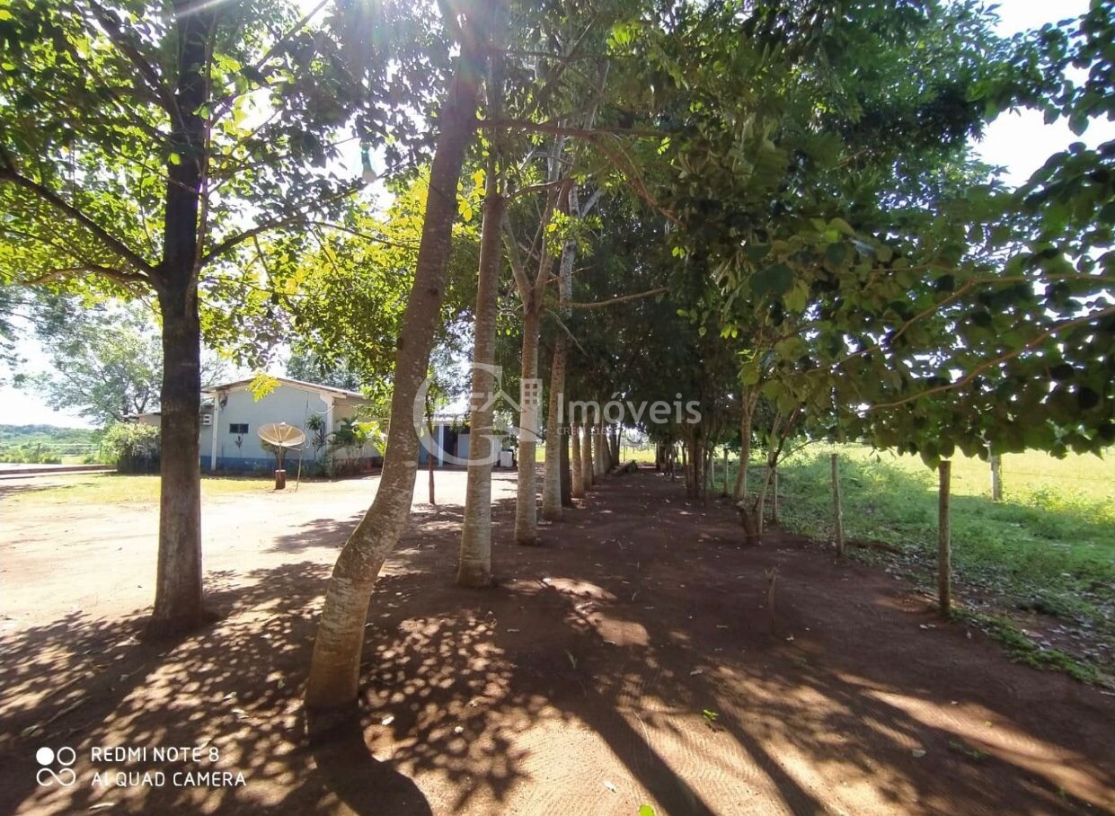 Chácara, 6 quartos - Foto 19