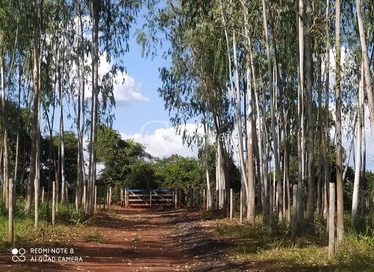 Chácara, 6 quartos - Foto 6