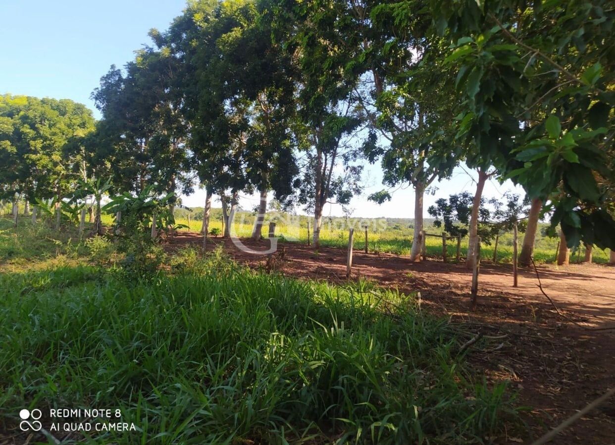 Chácara, 6 quartos - Foto 4