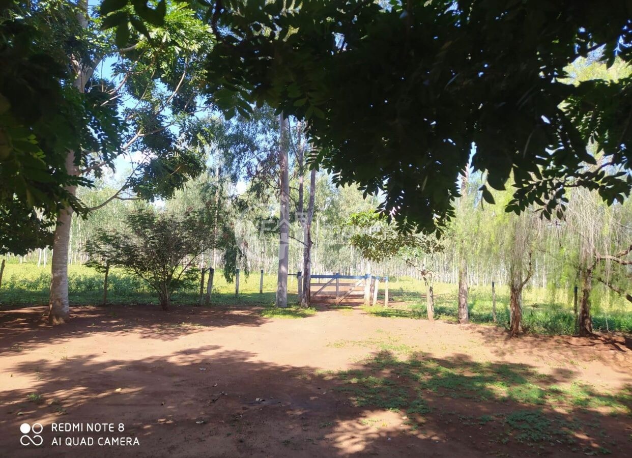 Chácara, 6 quartos - Foto 22