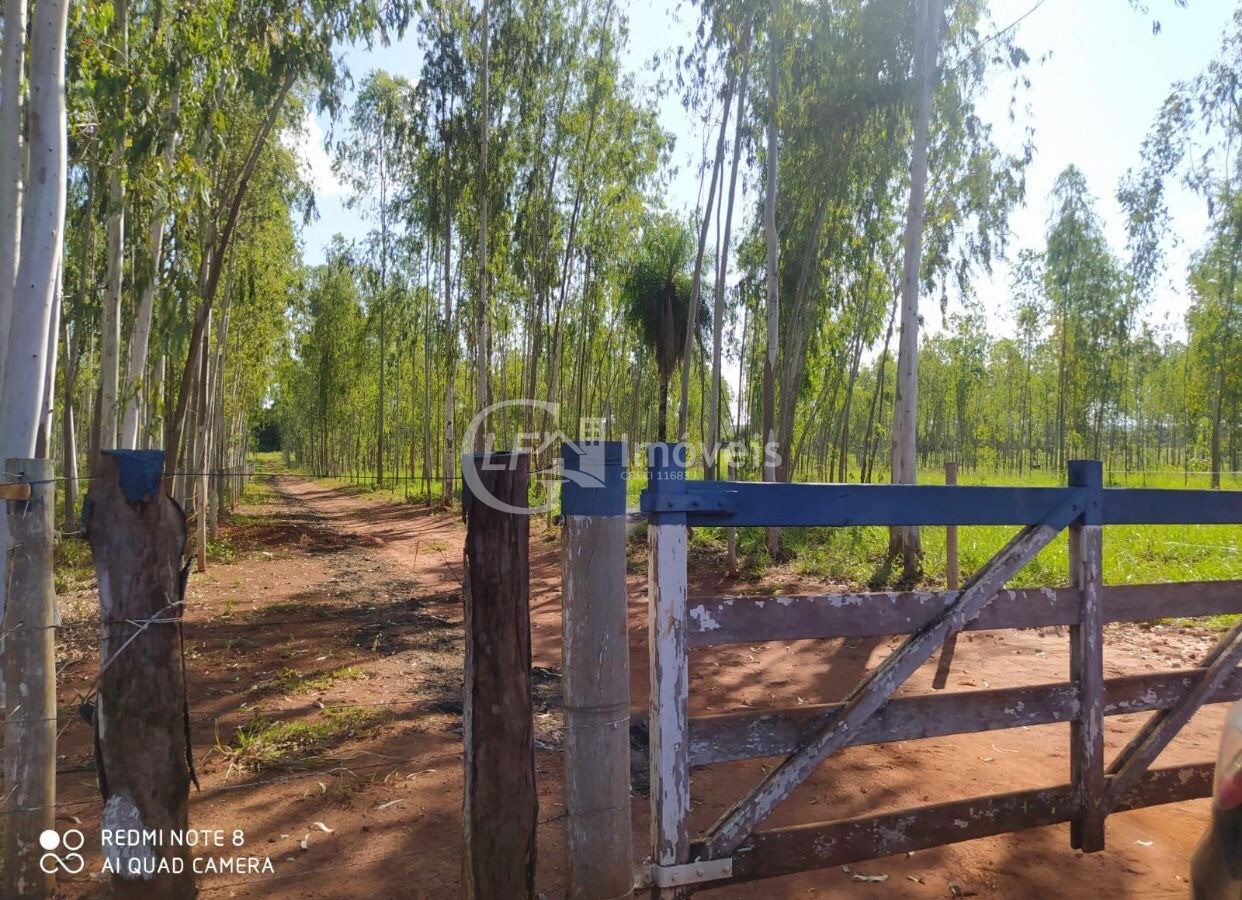 Chácara, 6 quartos - Foto 1