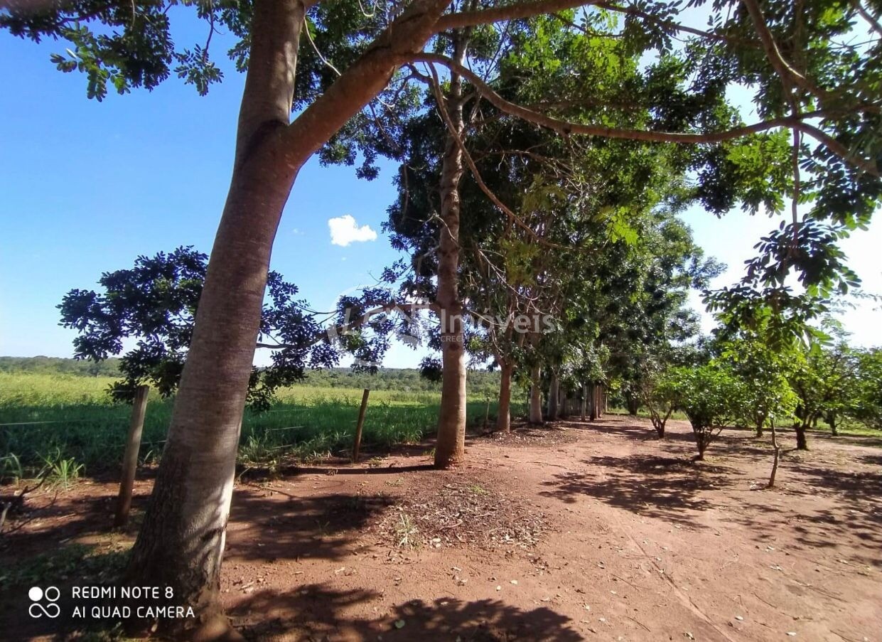 Chácara, 6 quartos - Foto 2