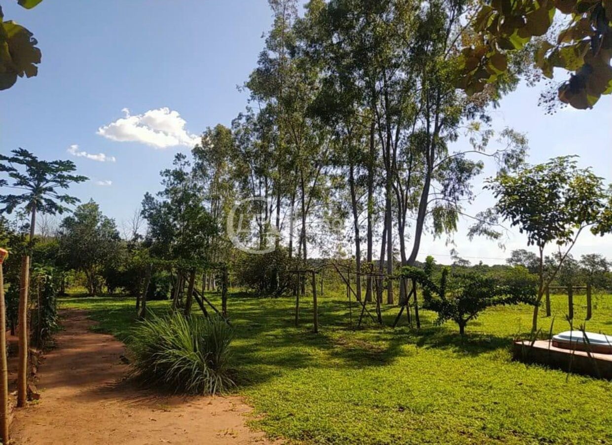Chácara, 6 quartos - Foto 16