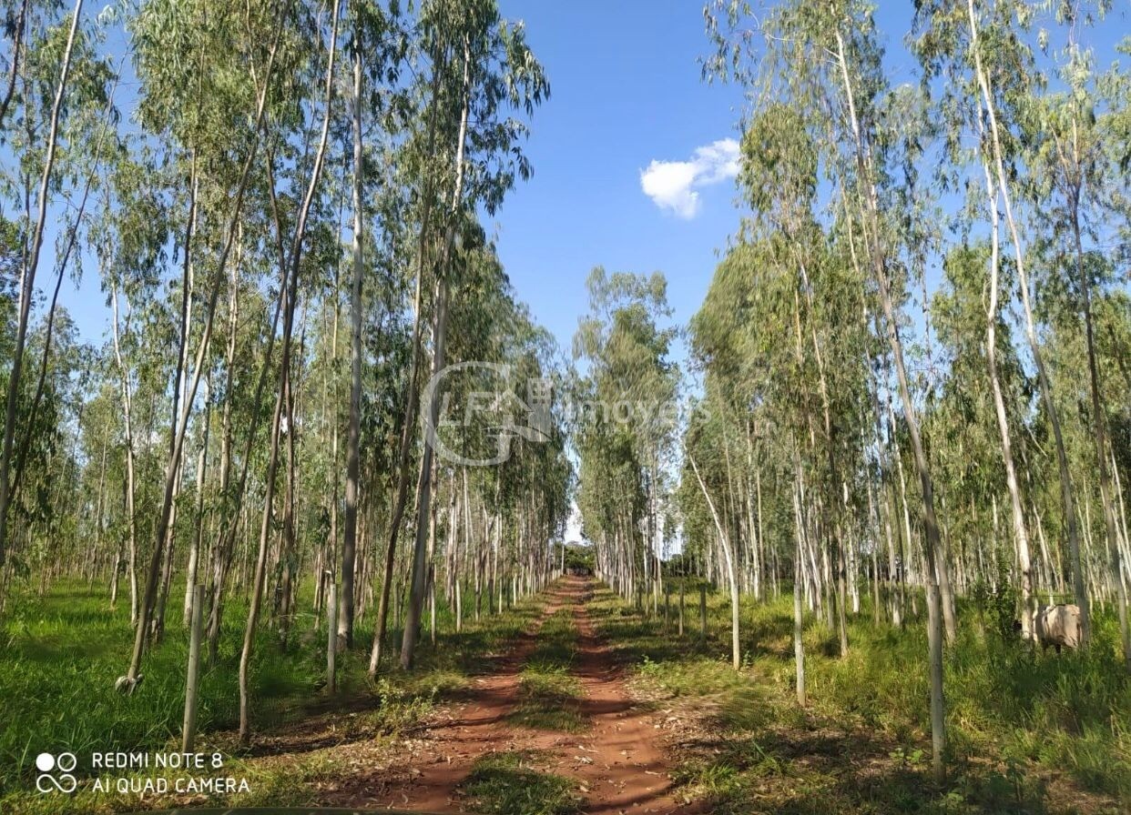 Chácara, 6 quartos - Foto 21