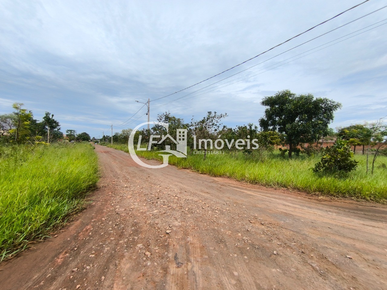 Terreno, 13 hectares - Foto 3