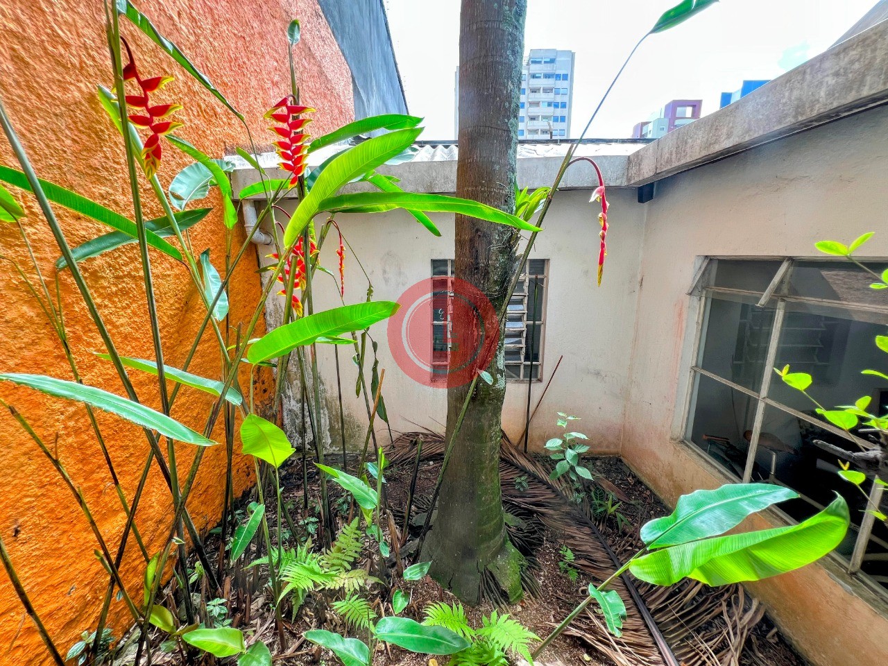 Casa, 3 quartos, 139 m² - Foto 7