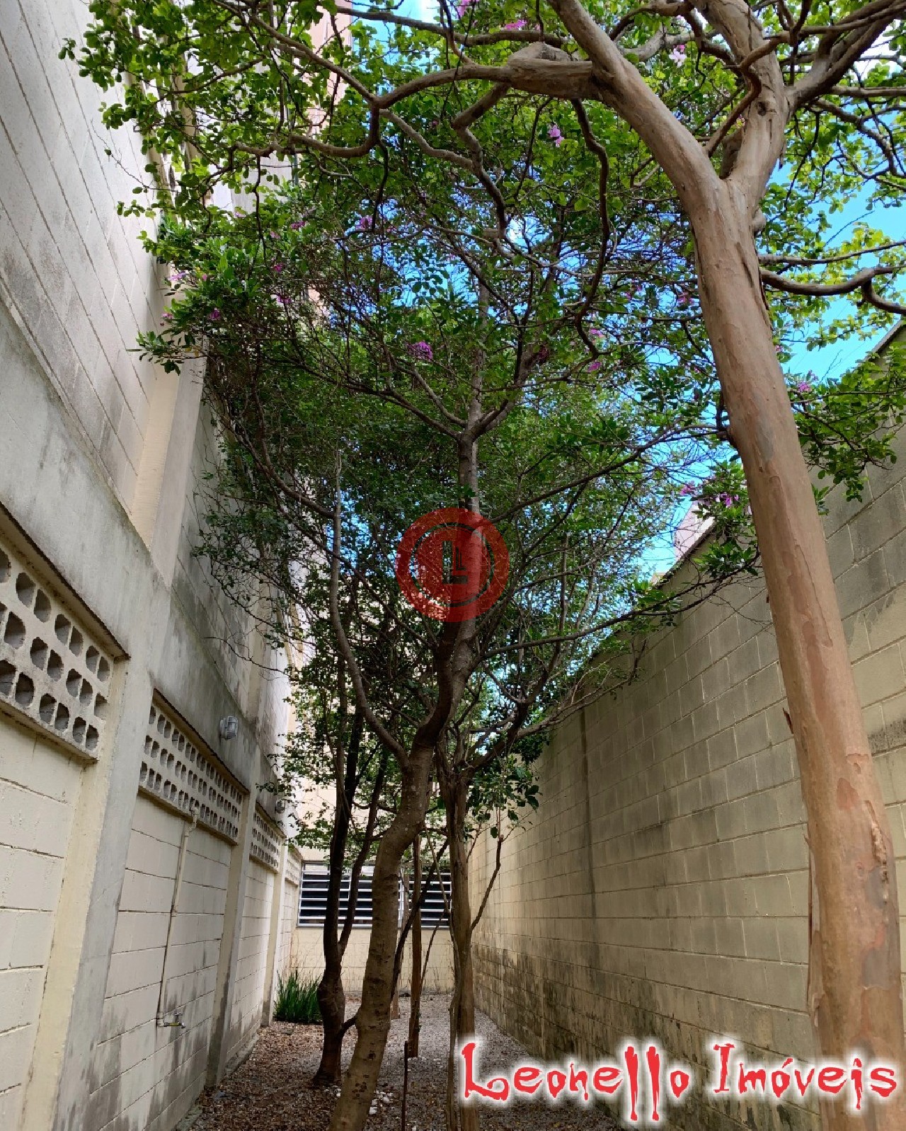 Apartamento, 3 quartos, 74 m² - Foto 34