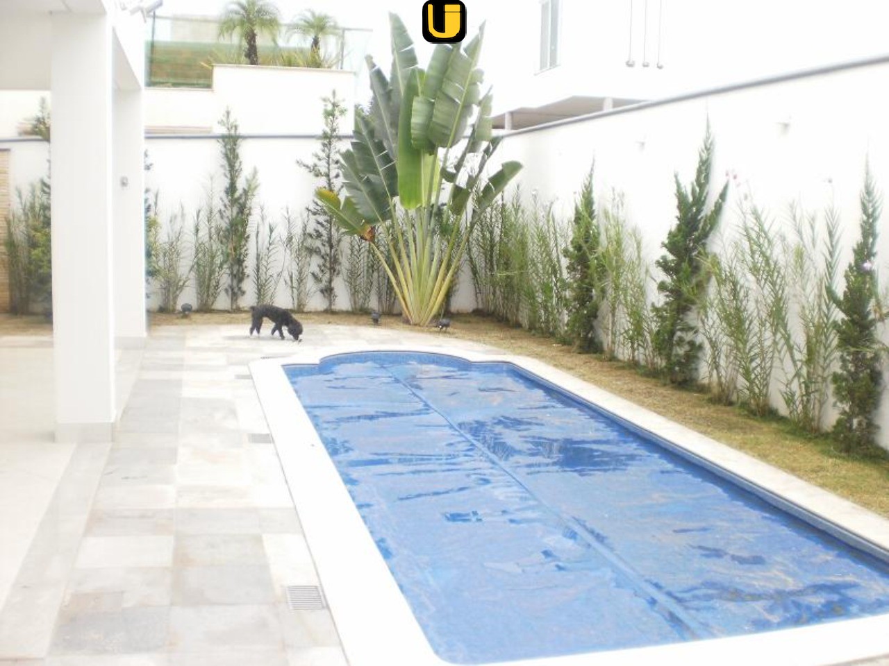 Casa, 4 quartos, 435 m² - Foto 3
