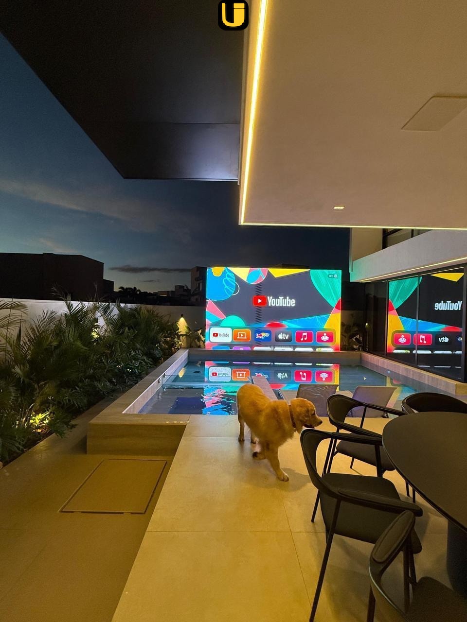 Casa, 5 quartos, 511 m² - Foto 11