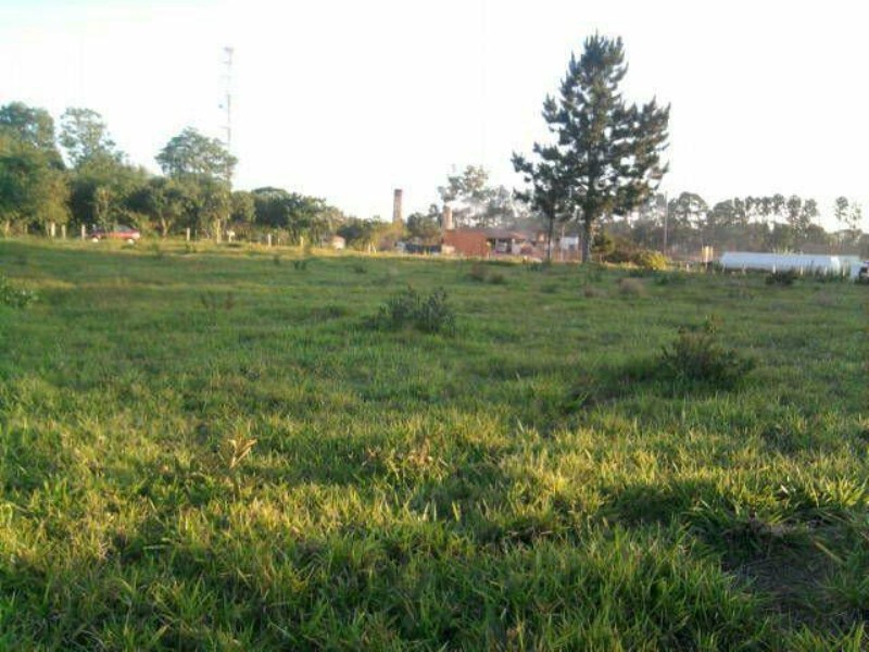Terreno, 9 hectares - Foto 2