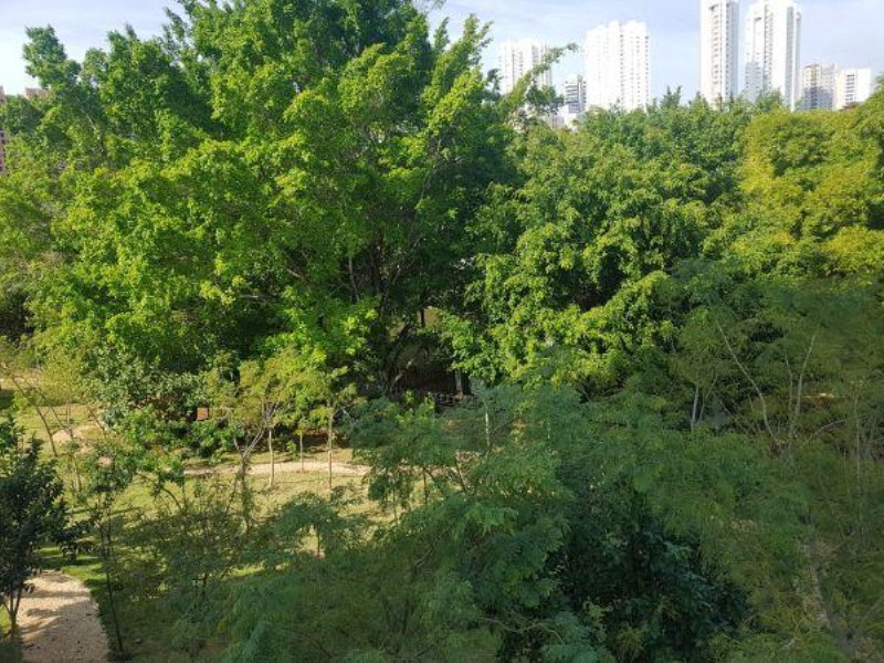 Apartamento, 3 quartos, 80 m² - Foto 20