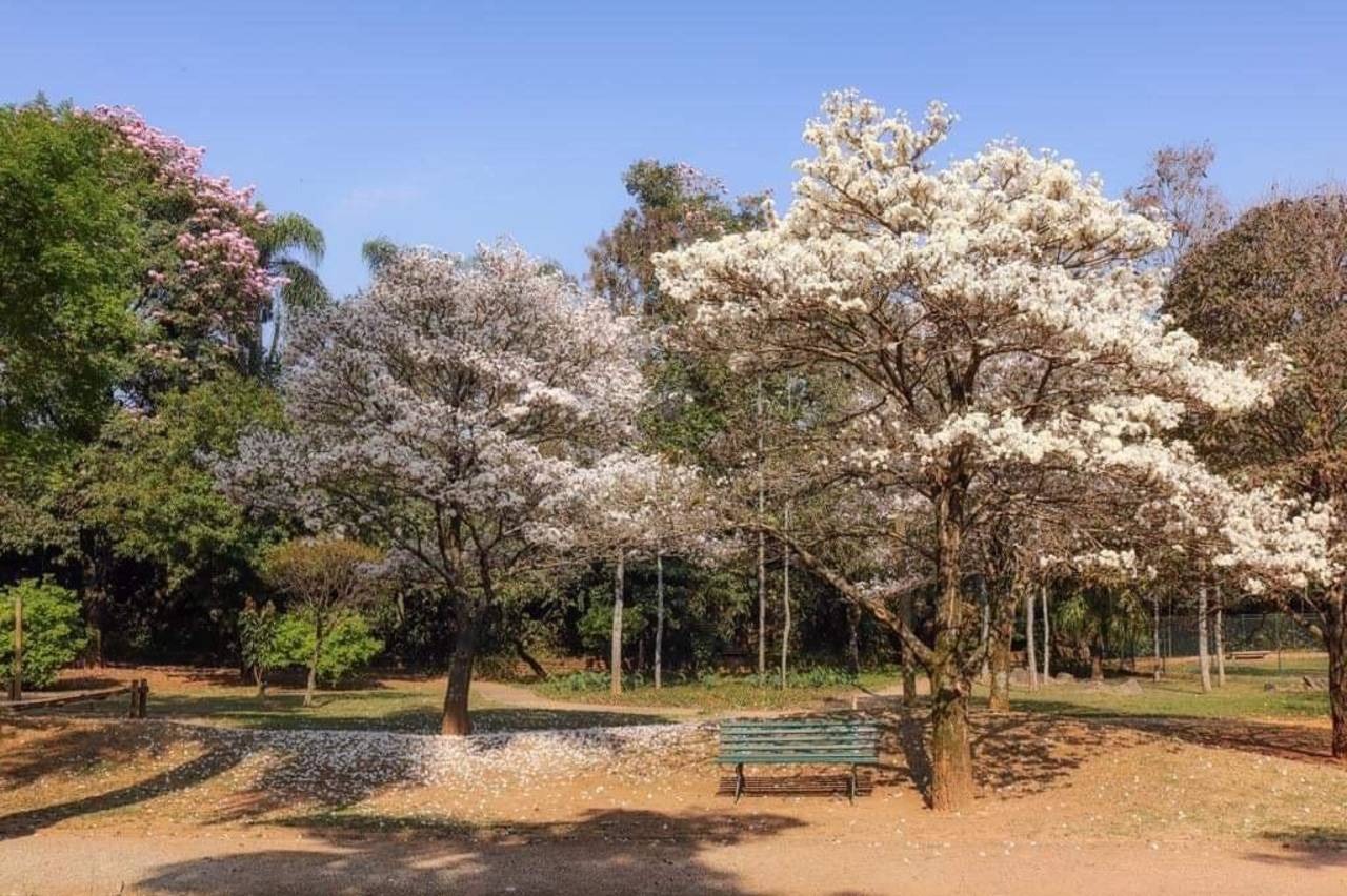 Casa para venda e locação em condomínio Alphaville 02 - Barueri