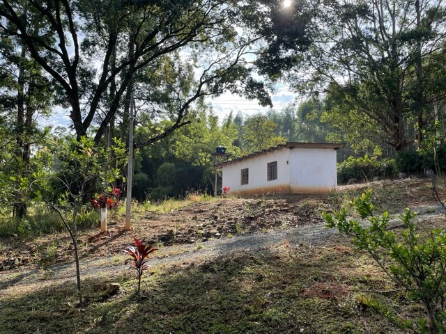 Sítio, 10000 m² - Foto 15