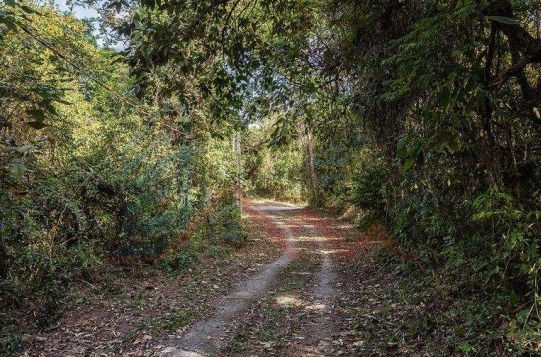 Sítio, 3 quartos, 15 hectares - Foto 18