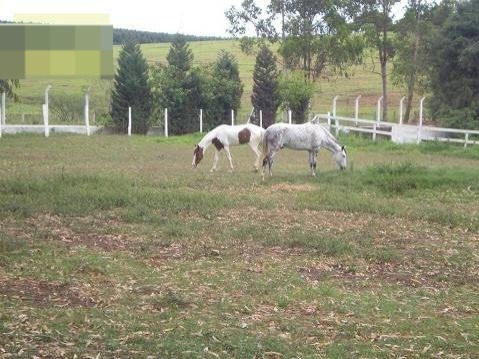 Sítio em campo largo - salto de pirapora/sp com 78mil m²