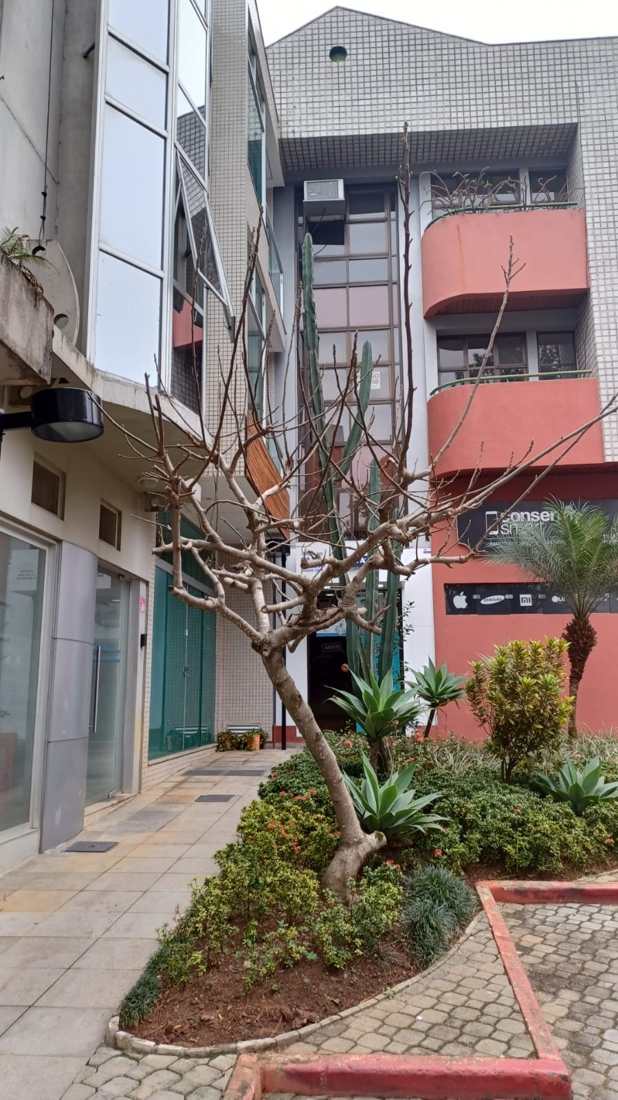 "aluga-se prédio comercial exclusivo na calçada das begônias