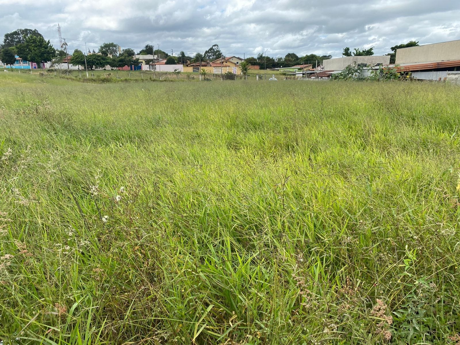 Terreno à venda na rua principal de sarapuí