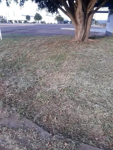 Barracão comercial/indusrial em araraquara - sp