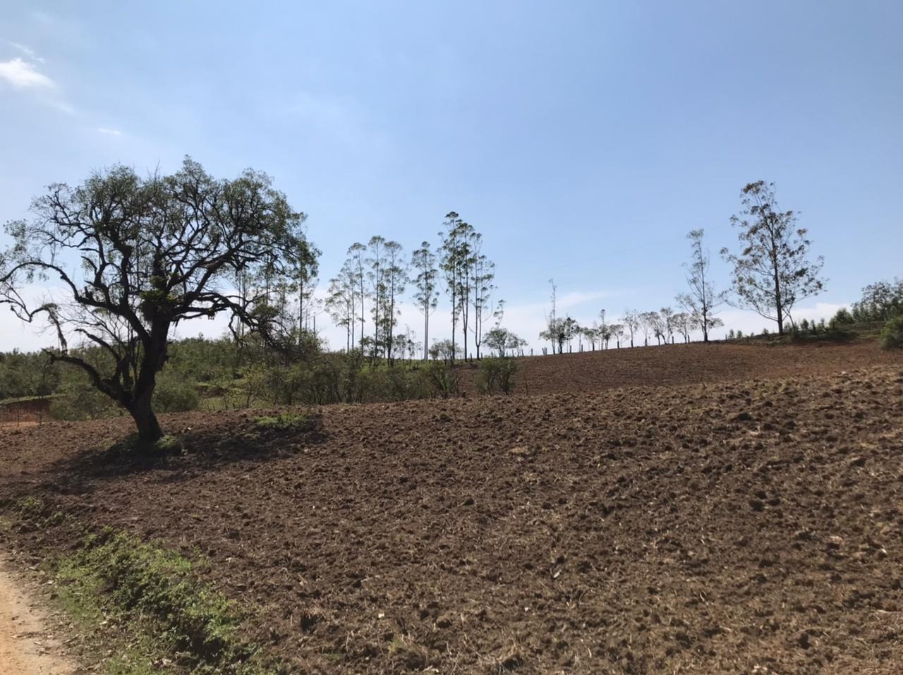 Refúgio sereno: propriedade com carvoaria e potencial de ren
