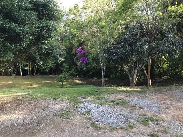 Refúgio sereno: propriedade com carvoaria e potencial de ren