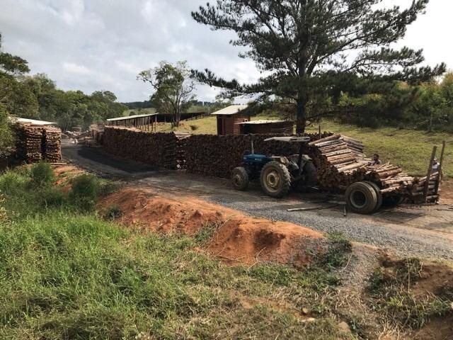 Refúgio sereno: propriedade com carvoaria e potencial de ren
