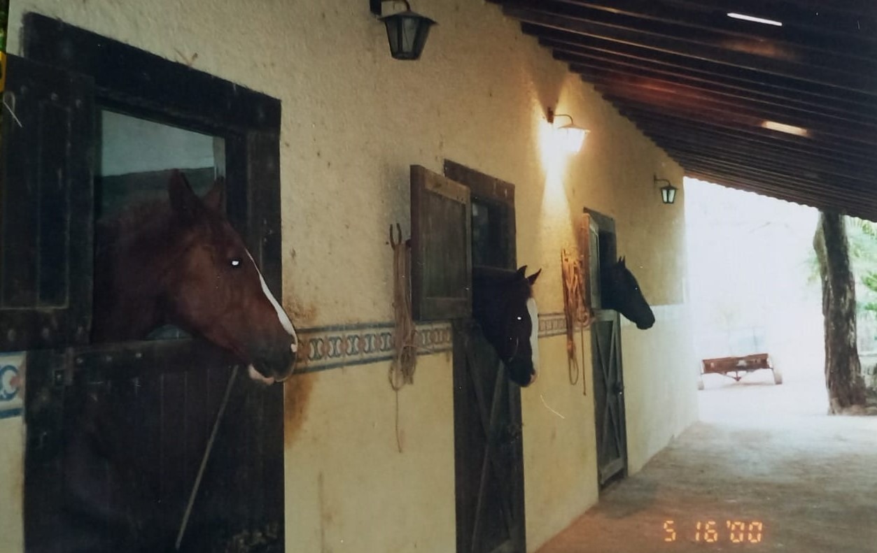 Sítio, 4 quartos, 2000 m² - Foto 42