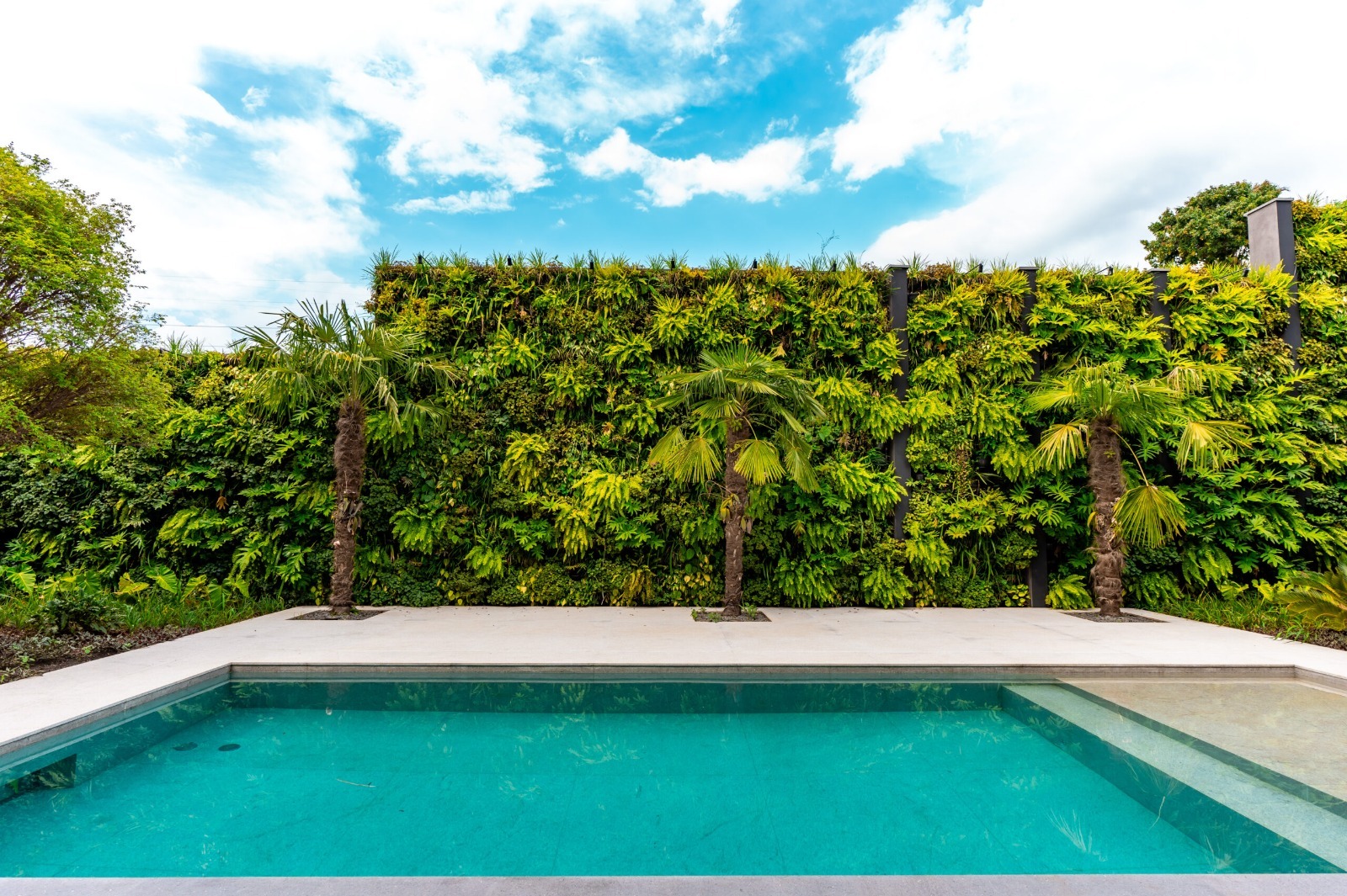 Casa, 5 quartos, 1102 m² - Foto 44