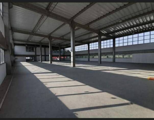 Depósito-Galpão, 5187 m² - Foto 11