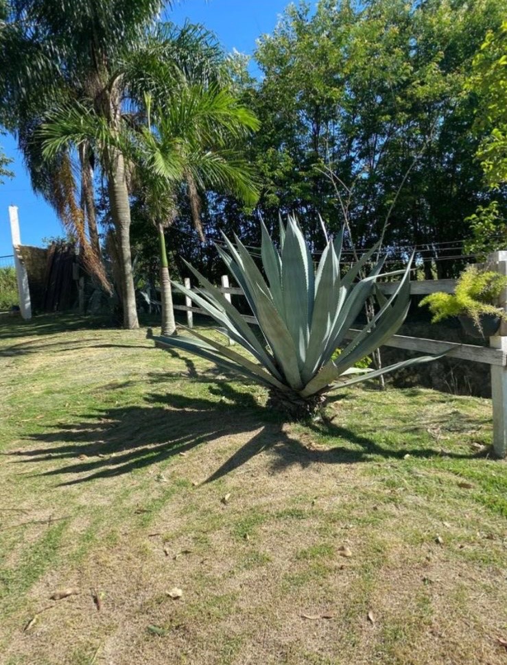 Oportunidade sitio em piedade sp casa 4 dormitórios! só R$ 1.200.000,00 (aceito permuta)