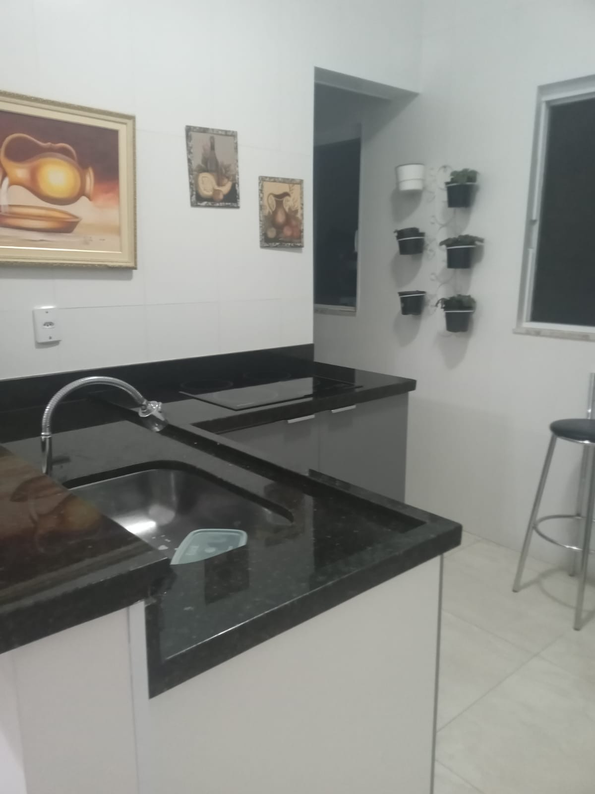 Chácara, 4 quartos, 1000 m² - Foto 2