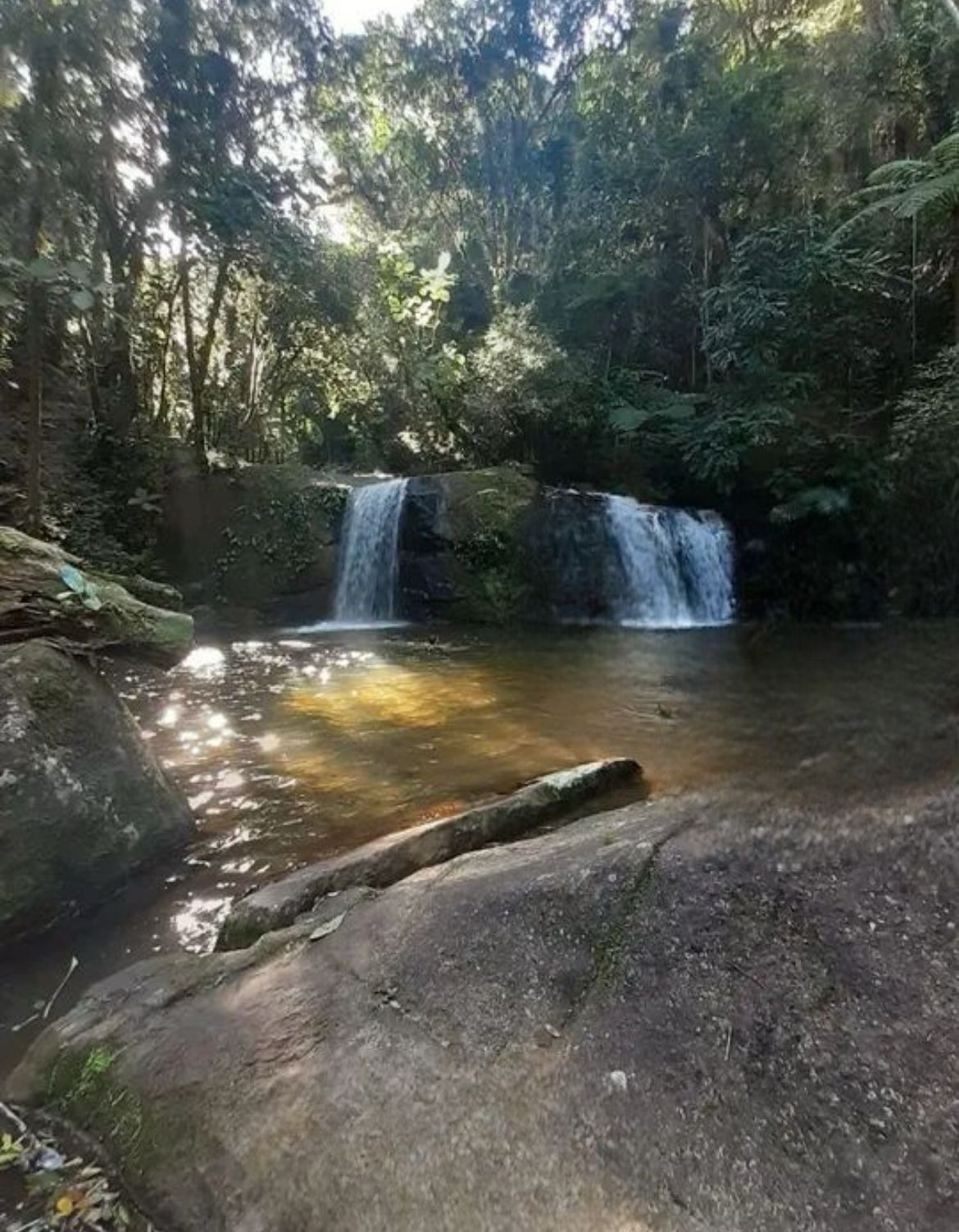 Sítio, 1 quarto, 21 hectares - Foto 1